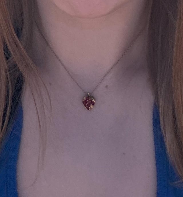 覆盆子？项链
