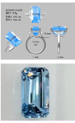 水上海军陆战队