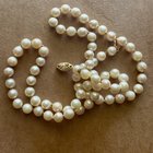 水或受过教育的珍珠