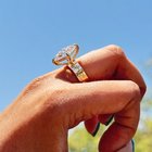 您接管哪个钻石？