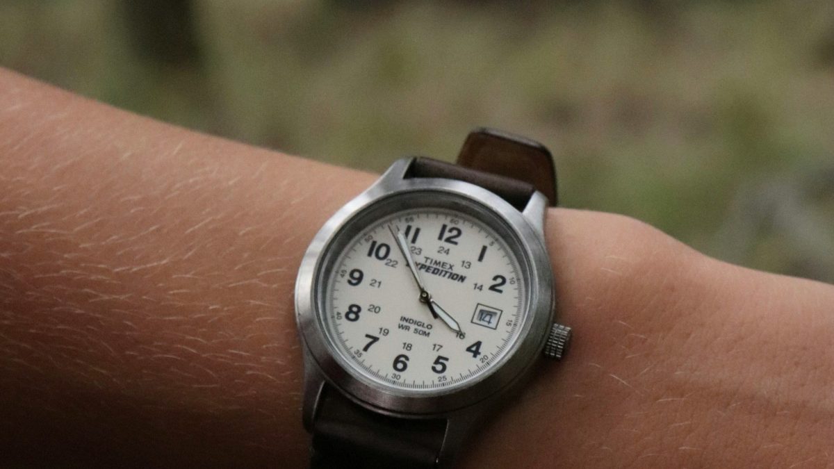 最适合秋季的表带