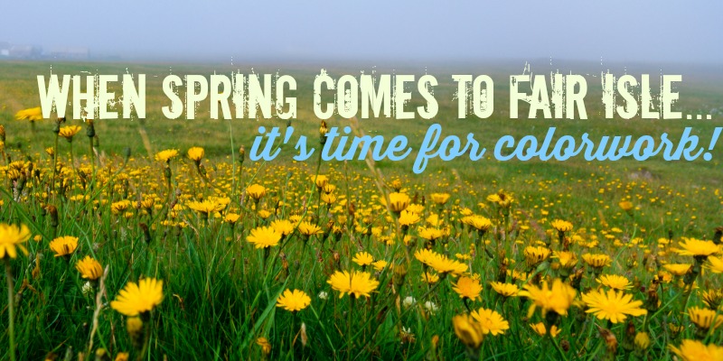 费尔岛针织的最佳纱线 |针织