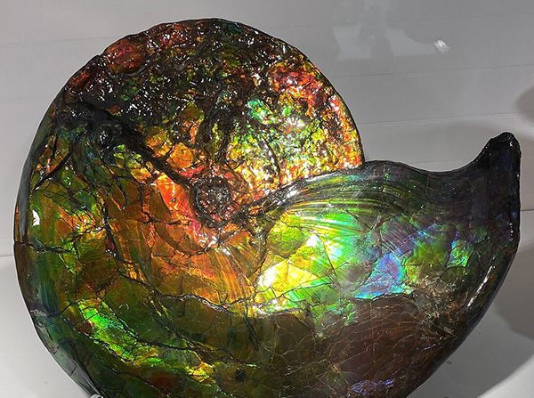 庆应义塾大学的科学家破解了斑彩石耀眼色彩的秘密