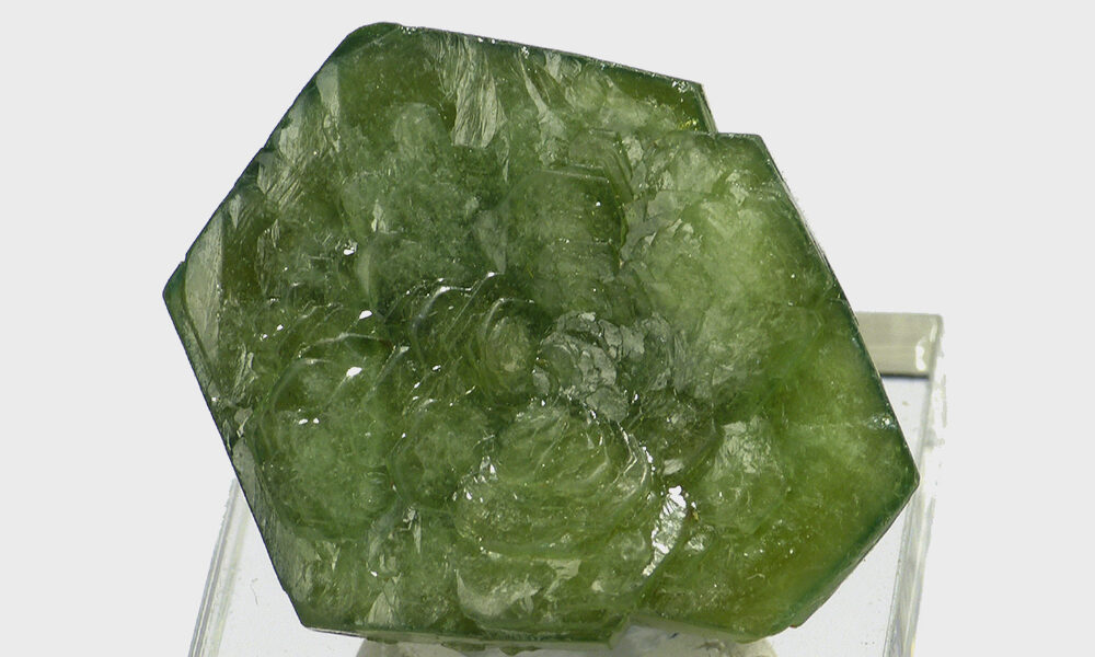 我们十月宝石测验的获胜者是……