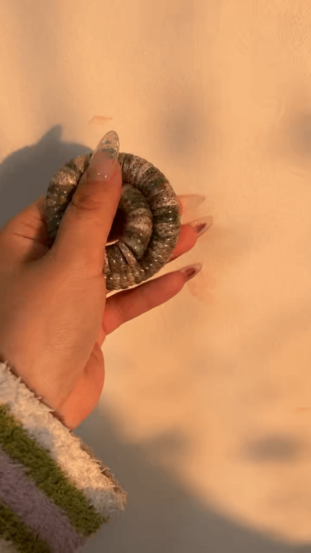 每天带她出去玩真是太治愈了