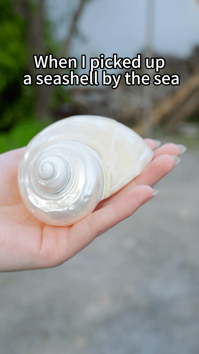 由贝壳制成的精美珠宝 - 标题为“蓝色海洋的祝福”。