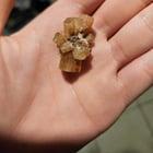 镶有这颗托帕石的项链