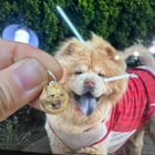 我最近完成了这个周州银饰