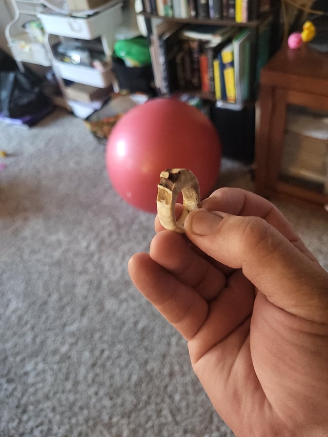 有史以来第一集
