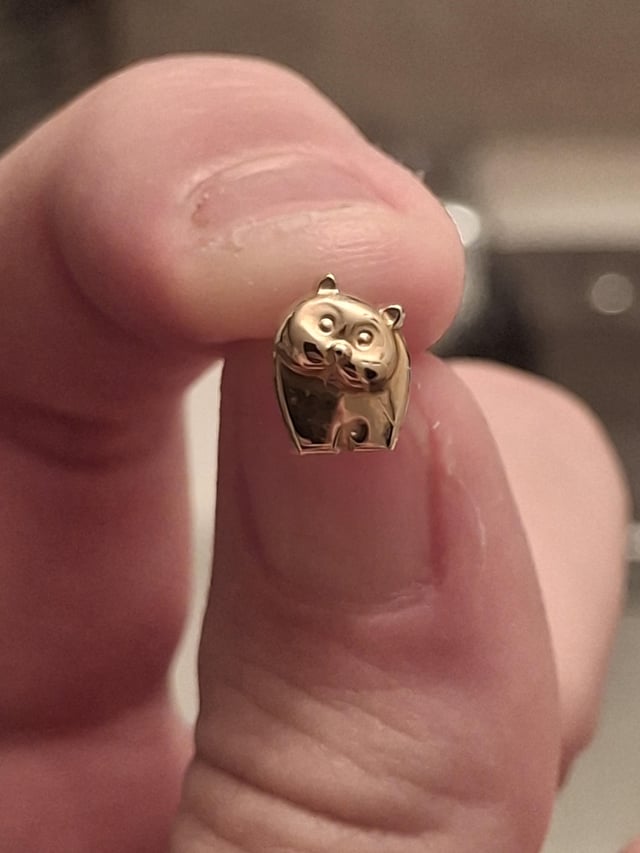 我正在努力寻找丢失的耳环的替代品！