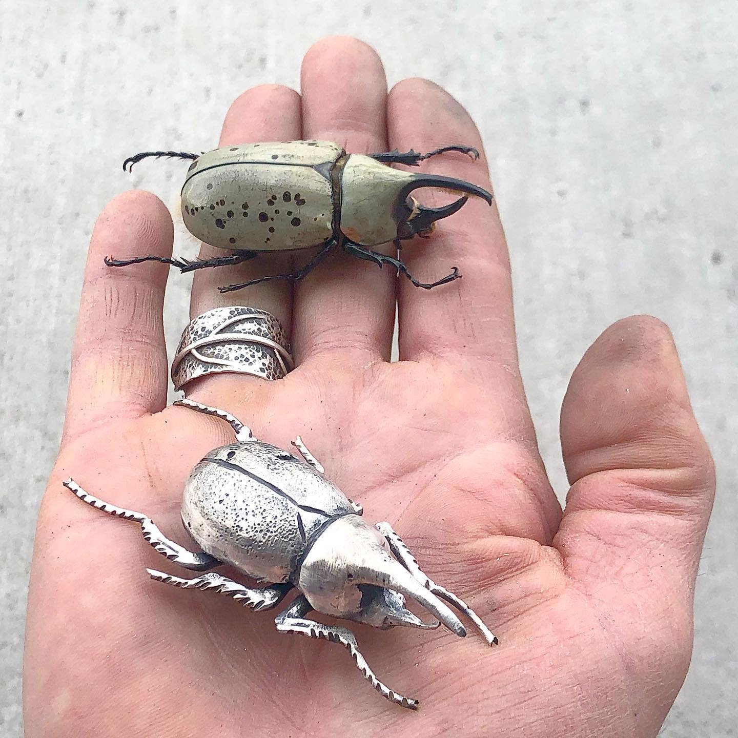NICOLE RINGGOLD 的新植物珠宝设计技术（播客剧集） — Jewelers Academy