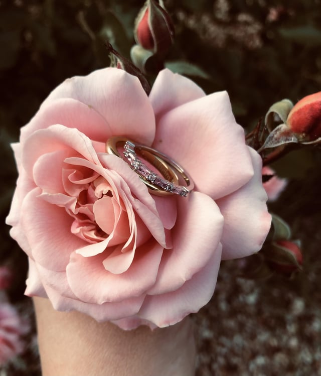 ✨✨✨
