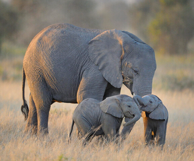 独特的休息和放松胜地，为您带来终极逃离