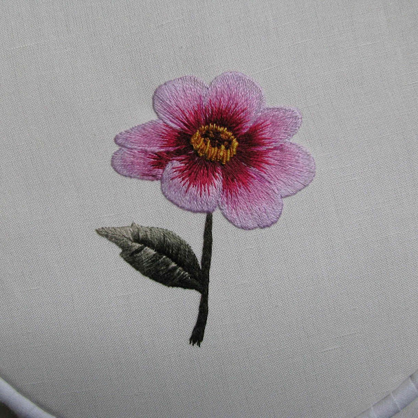 丝荫花|