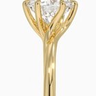 我正在寻找独立的戒指设置