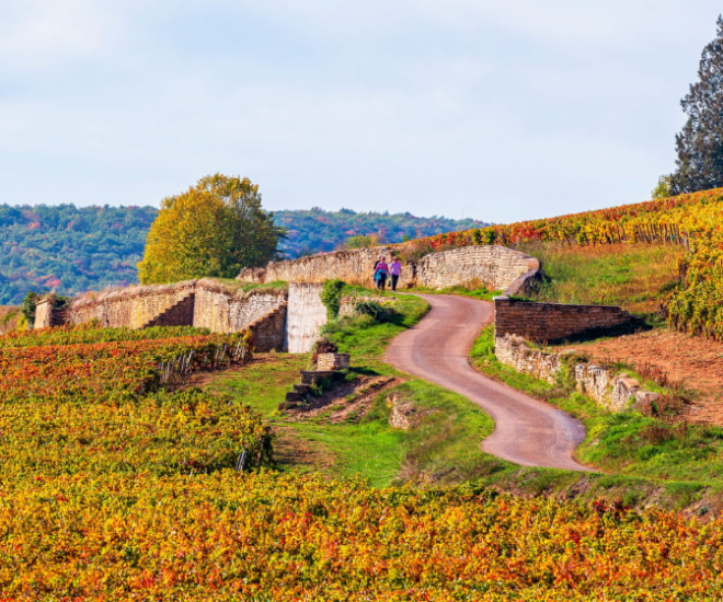 秋季最佳旅游目的地