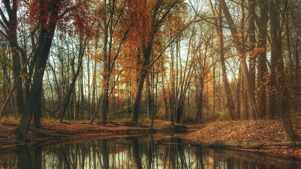 秋天到了：男士手表
