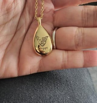 给姐姐的一罐。她最近失去了她的朋友。这条项链是不是太大了？它不是太重，因为它是由不锈钢制成的