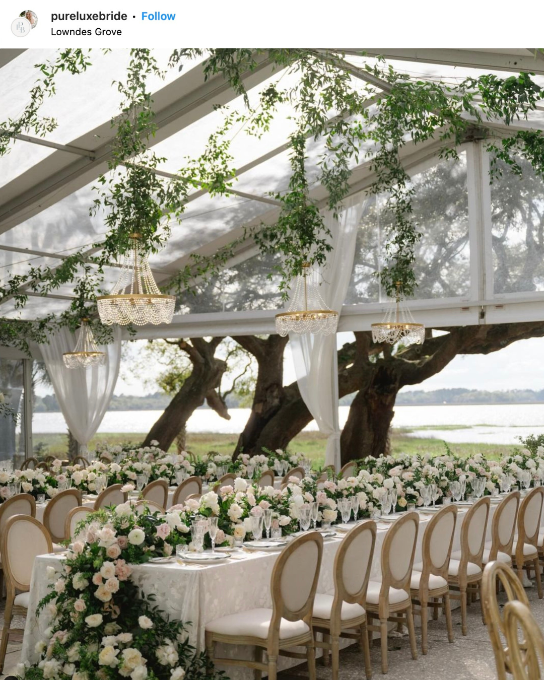 我们喜爱南卡罗来纳州查尔斯顿美丽南方婚礼的 10 个理由 ~ WedLuxe Media