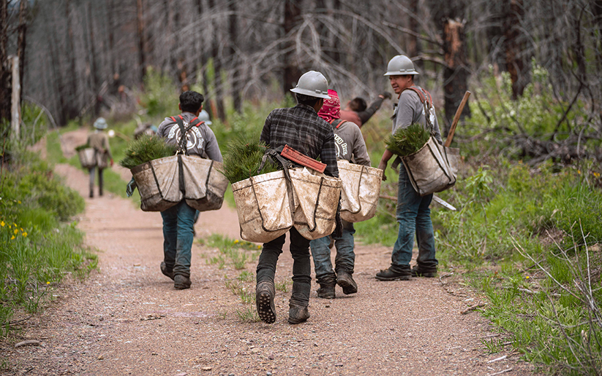 Pebbles to Pines Fundraiser Raises $10k for National Forest Foundation