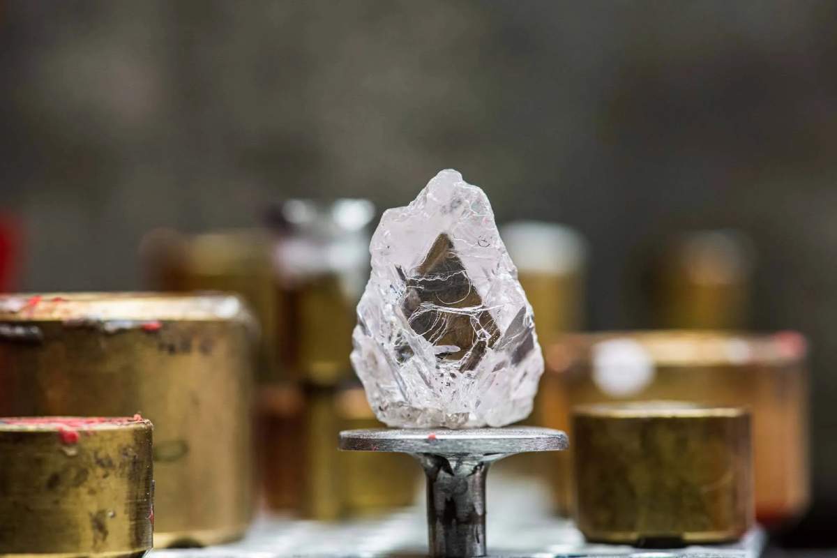 HB 安特卫普大学荣获《财富》2024 年“改变世界”榜单