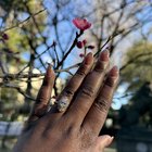 自从我选择戒指以来，我一直在追逐这个分支！