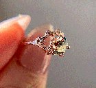 仍然带着我的蓝宝石和脚在月球的表面上！