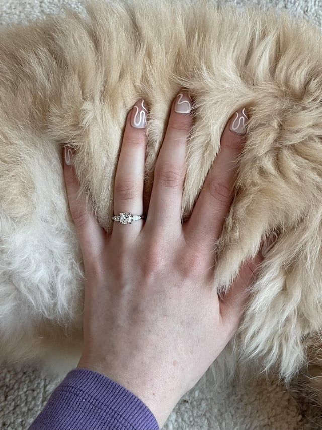 您如何设计我的收藏？