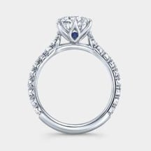 我有一些与郁金香和窥视设置有关的问题