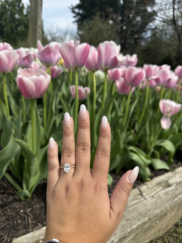 我今天提出了建议，我再开心了！