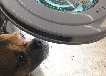 Lightview LED宏伟灯：2合1