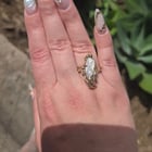 在夏威夷的一家古董店发现的！